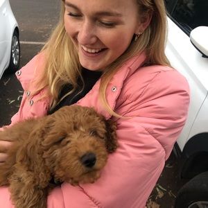 Meet your Posher, Darcy